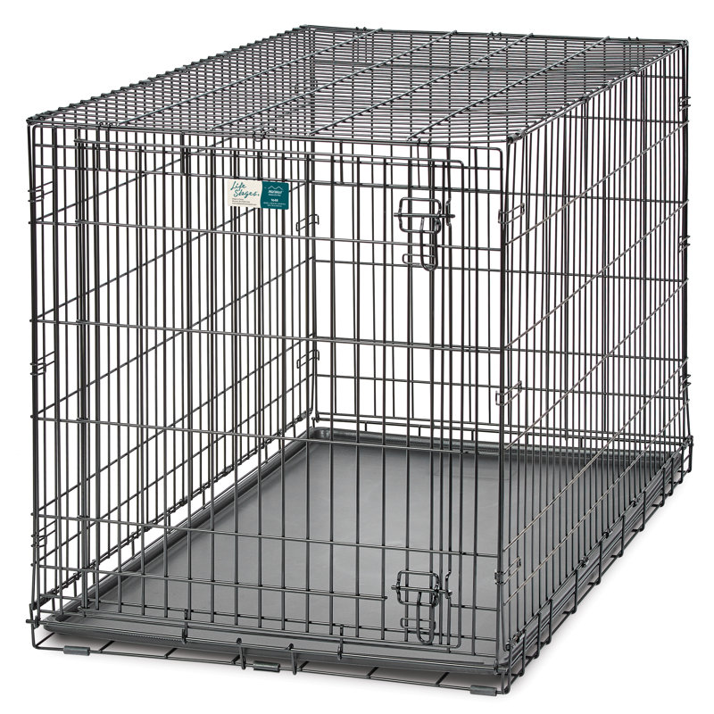 Midwest Homes For Pets MidWest Homes for Pets Life Stage Single Door Dog Crate Reviews Wayfair